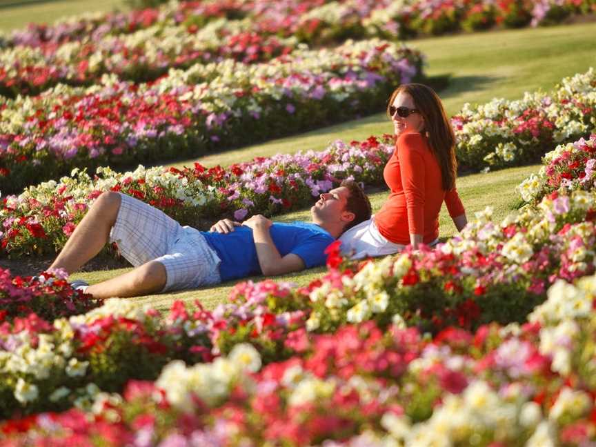 Victoria State Rose Garden at Werribee Park, Werribee South, VIC