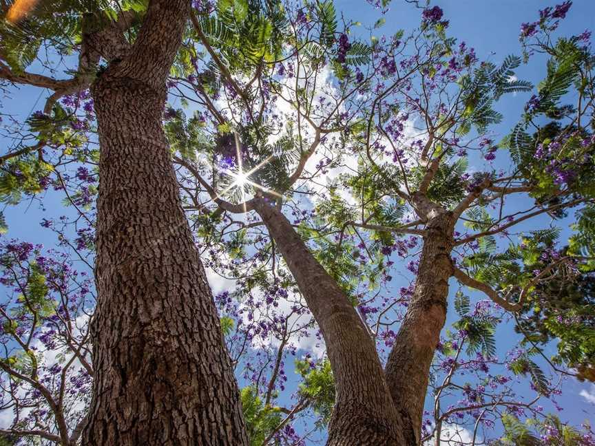 John Scott Park, Samford Village, QLD