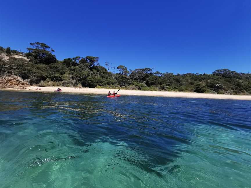 Portsea Front Beach, Portsea, VIC