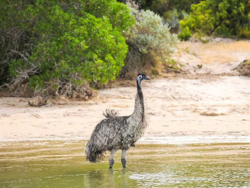 42 Mile Crossing Coorong National Park, Coorong, SA