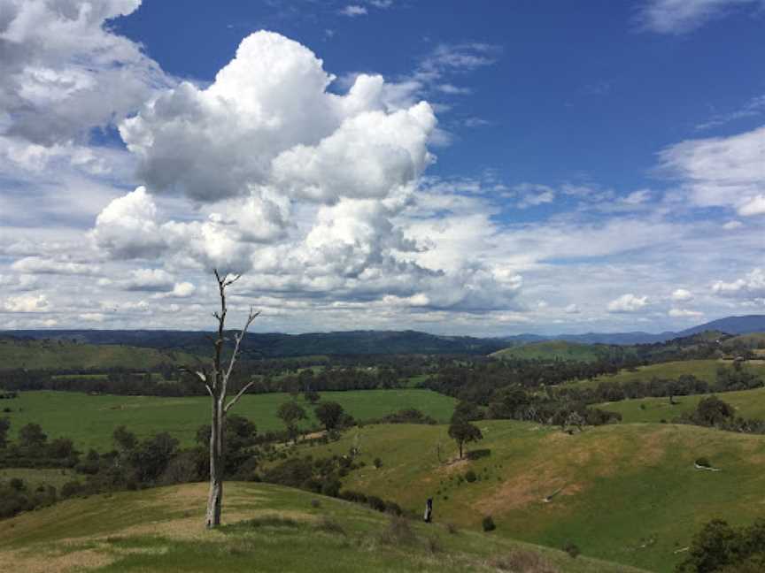 Acheron Cutting Lookout, Acheron, VIC