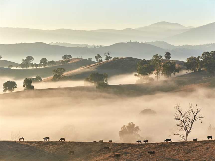 Acheron Cutting Lookout, Acheron, VIC