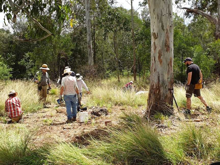 Great West Walk - Blacktown section, Quakers Hill, NSW