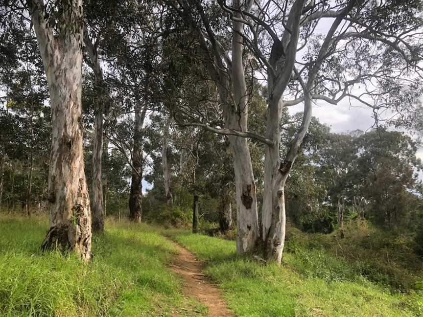 Great West Walk - Blacktown section, Quakers Hill, NSW