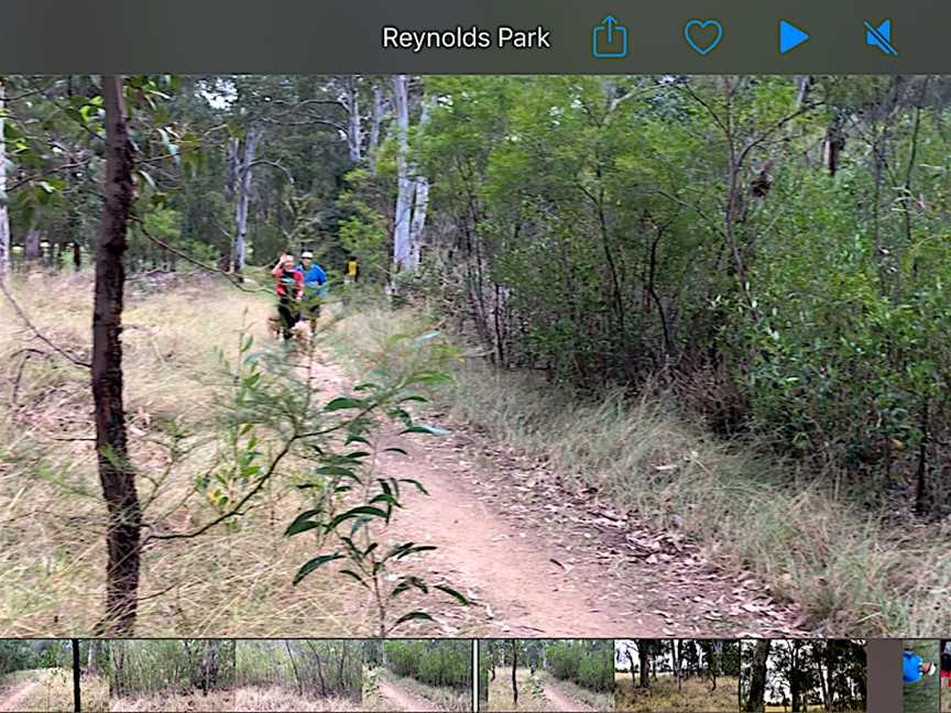 Great West Walk - Blacktown section, Quakers Hill, NSW