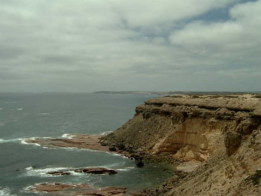 Point Labatt Conservation Park, Streaky Bay, SA