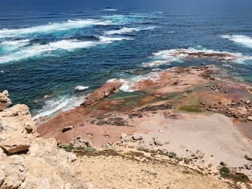 Point Labatt Conservation Park, Streaky Bay, SA