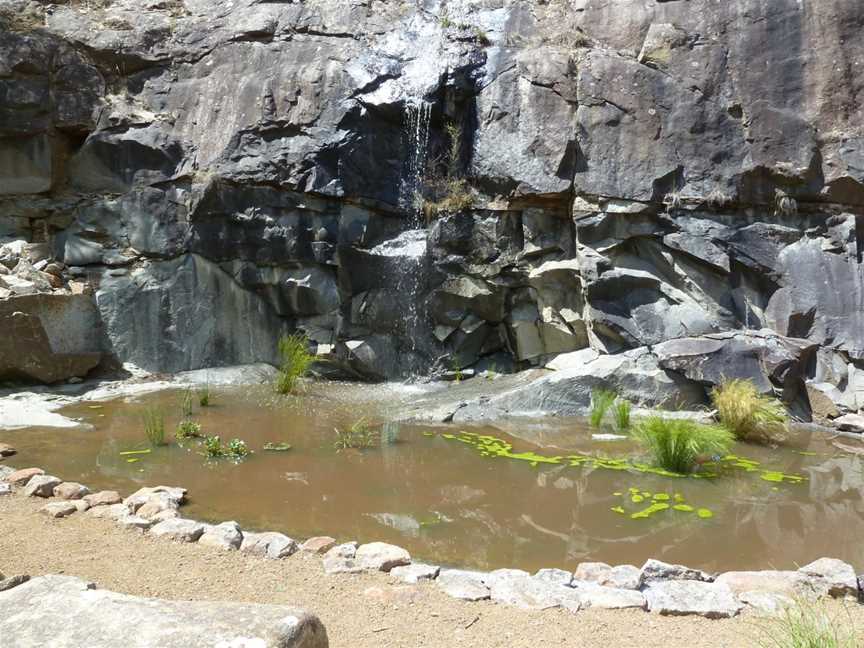 Tasmanian  Bushland Garden, Buckland, TAS