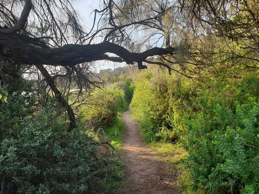 Fosters Beach, Mornington, VIC