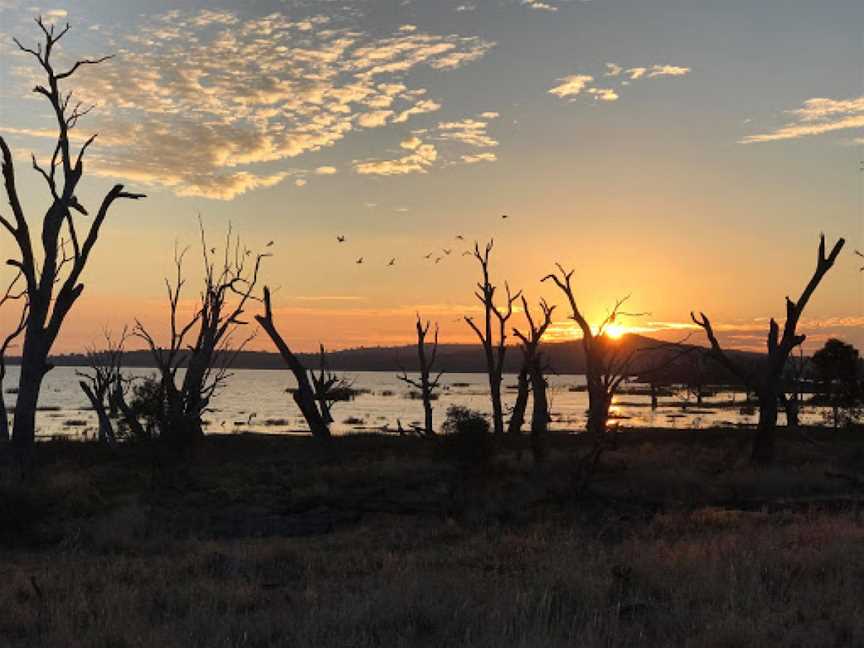 Winton Wetlands, Chesney Vale, VIC