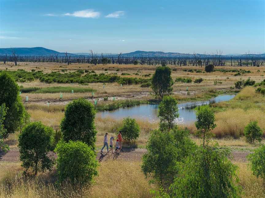 Mokoan Ponds, Winton North, VIC