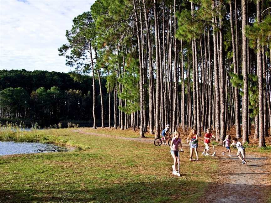 Pizzey Park, Mermaid Waters, QLD