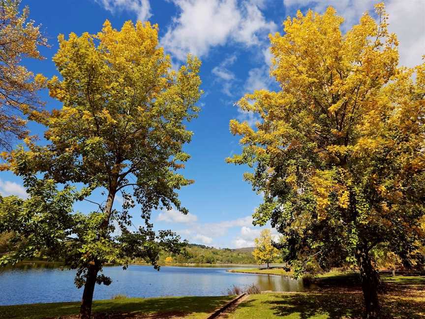 Lake Canobolas Reserve, Nashdale, NSW