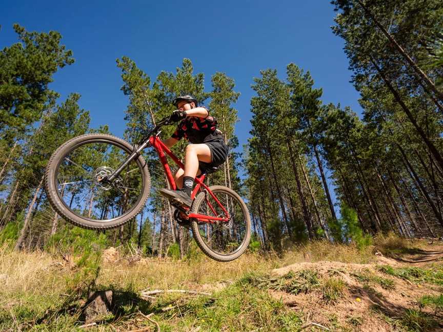 Mountain Bike Trails Tumbarumba, Tumbarumba, NSW