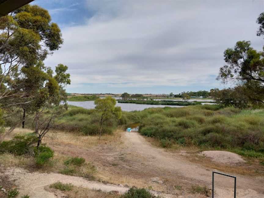 Swanport Wetlands, Murray Bridge, SA