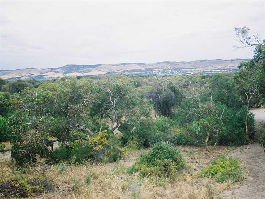 Aldinga Scrub Conservation Park, Aldinga Beach, SA