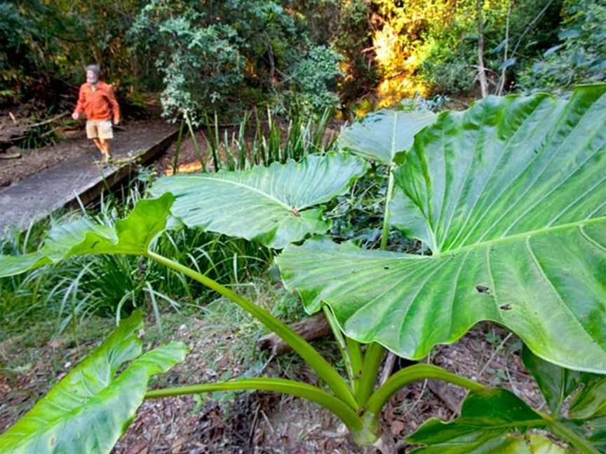 Cedar Park picnic area, Allgomera, NSW