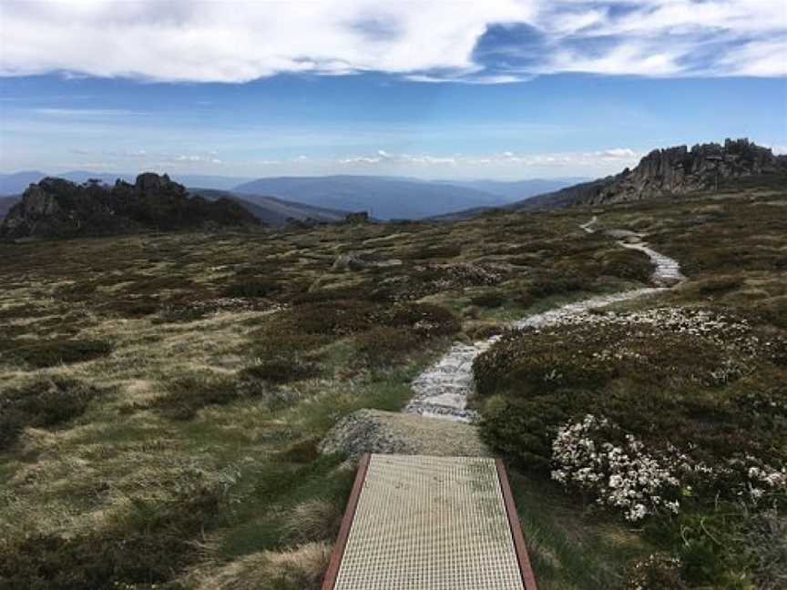 Thredbo Valley Track, Kosciuszko National Park, NSW