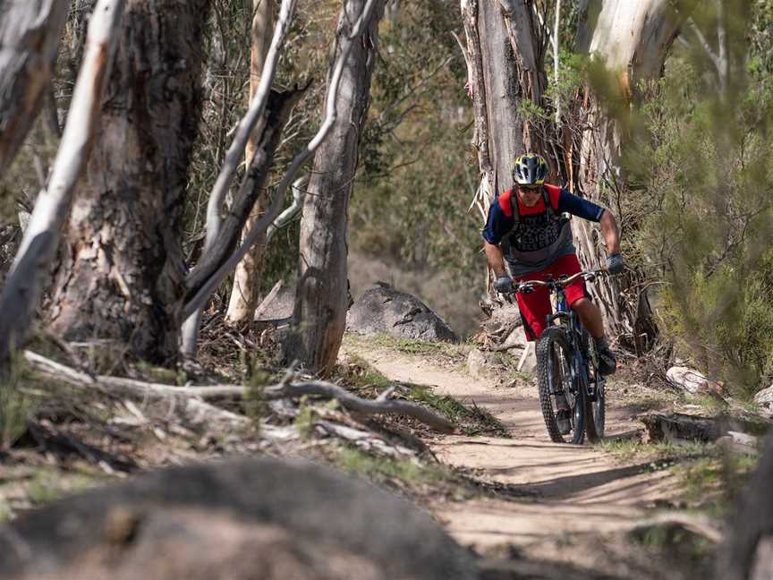 Thredbo Valley Track, Kosciuszko National Park, NSW