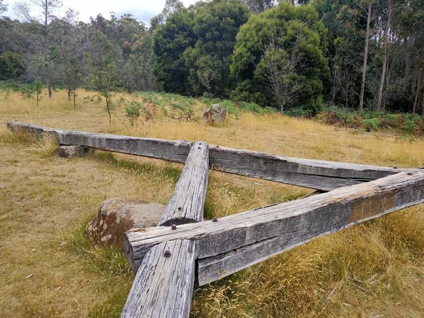 Tulumpanga / Alum Cliffs, Mole Creek, TAS