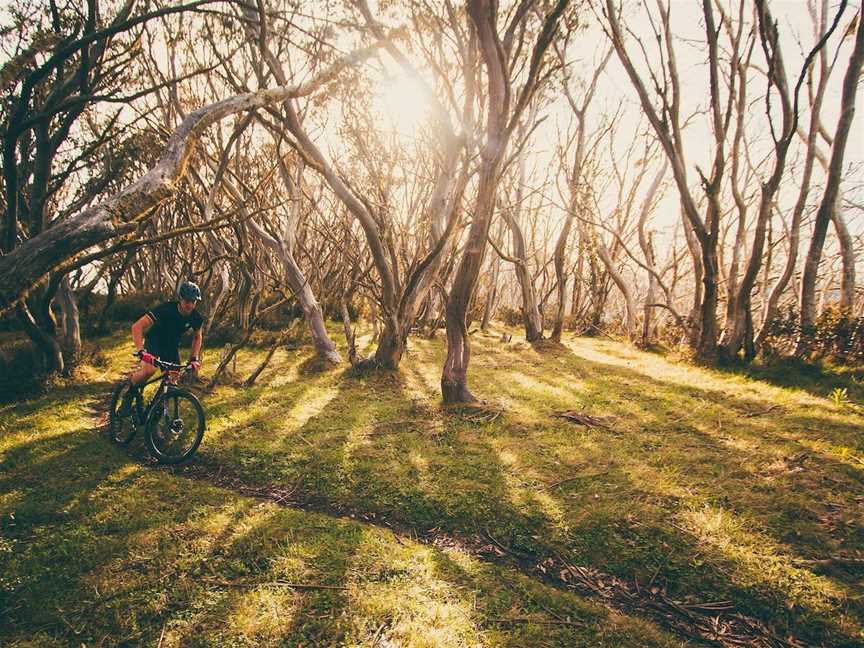 Australian Alpine Epic Mountain Bike Trail, Mount Buller, VIC