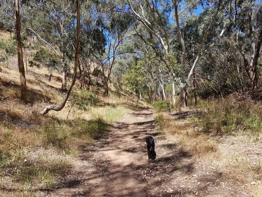 Shepherds Hill Recreation Park, Adelaide, SA