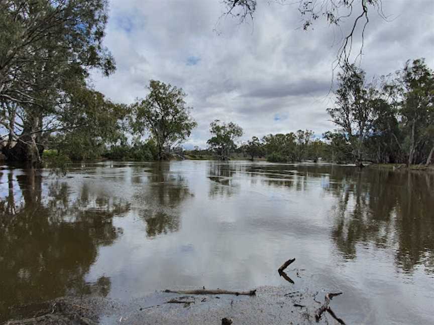 Yanga Woolshed picnic area, Balranald, NSW