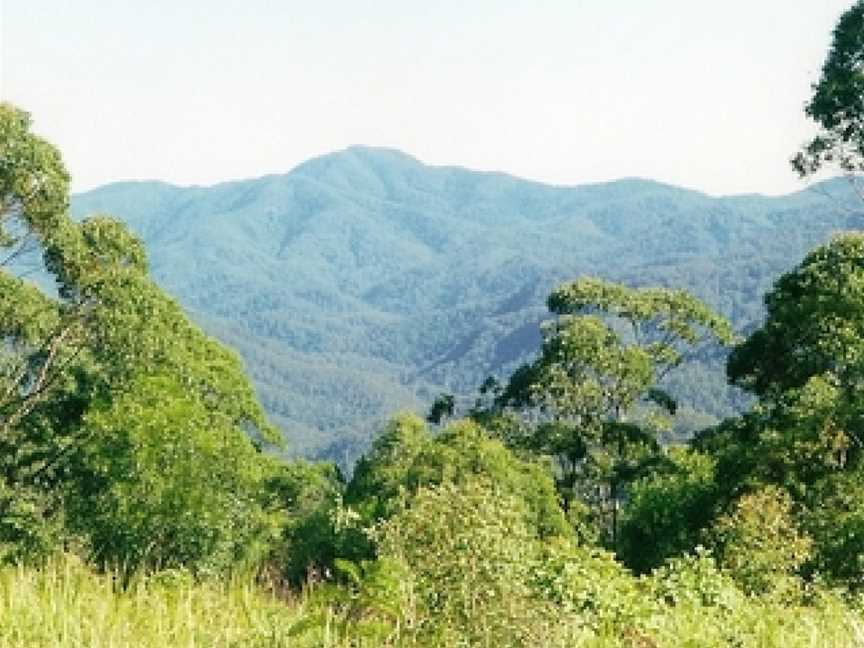 Willi Willi National Park, Banda Banda, NSW