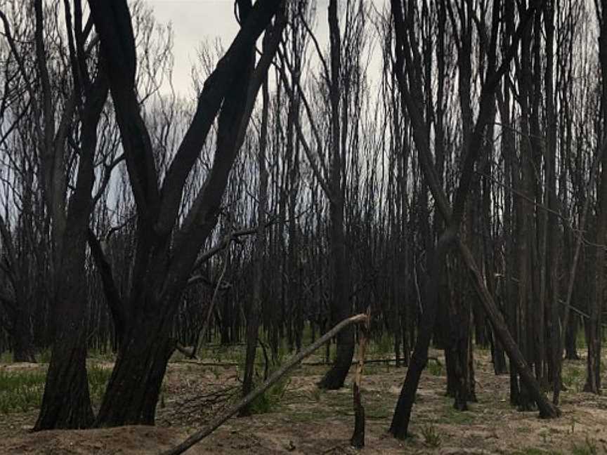 Biamanga National Park, Quaama, NSW