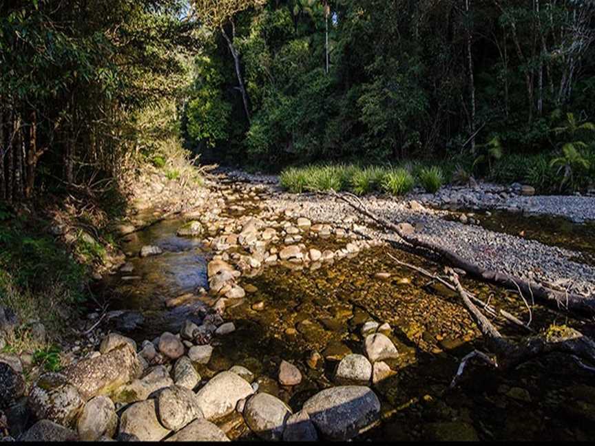 Wilson River picnic area, Banda Banda, NSW