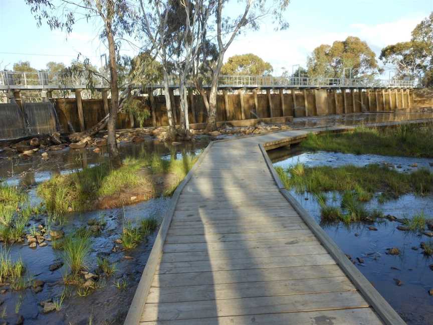 Weir Park and Wetlands, Horsham, VIC