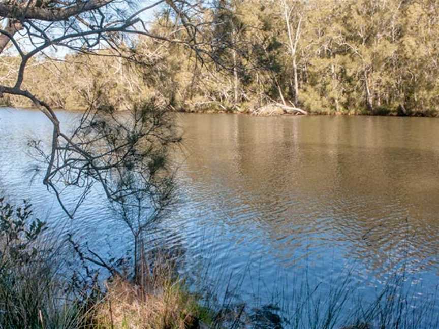 Wandandian Creek picnic area, Basin View, NSW