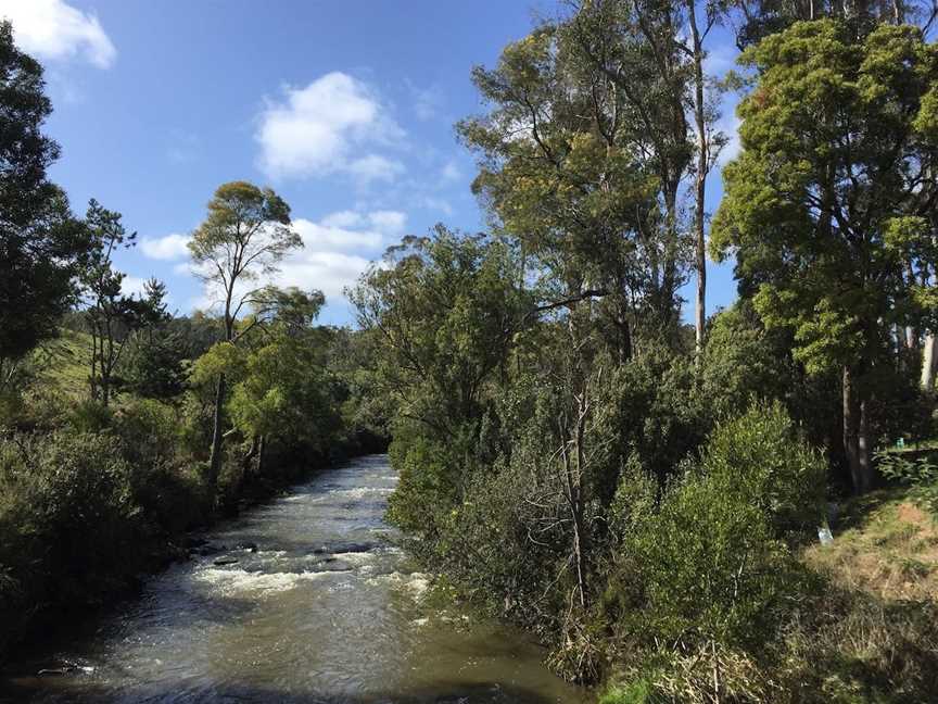 Pipers River Board Walk, Pipers River, TAS