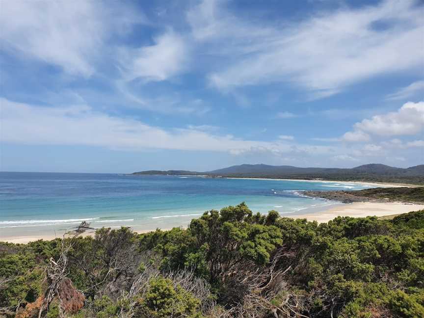 Murramarang Aboriginal Area, Bawley Point, NSW