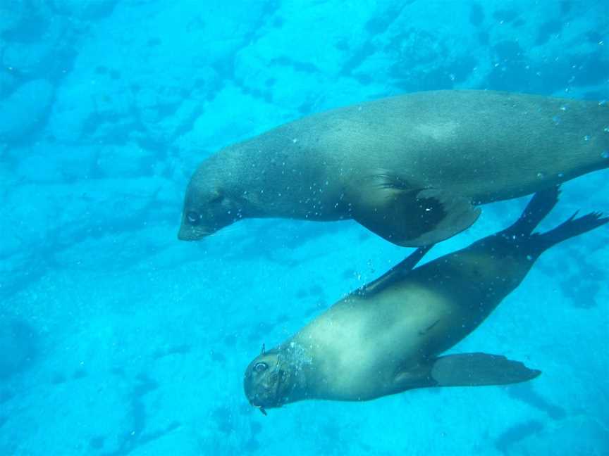 Batemans Marine Park and Sanctuary, Batemans Bay, NSW