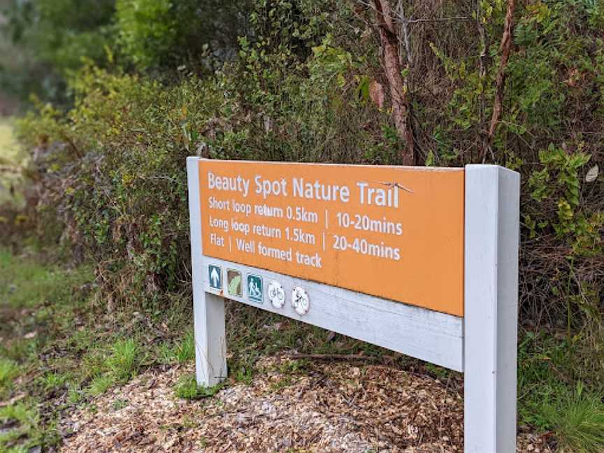 Beauty Spot Nature Trail, Marysville, VIC