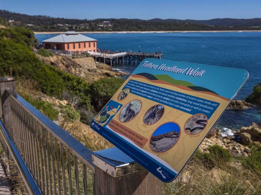 Tathra Headland Walk, Tathra, NSW