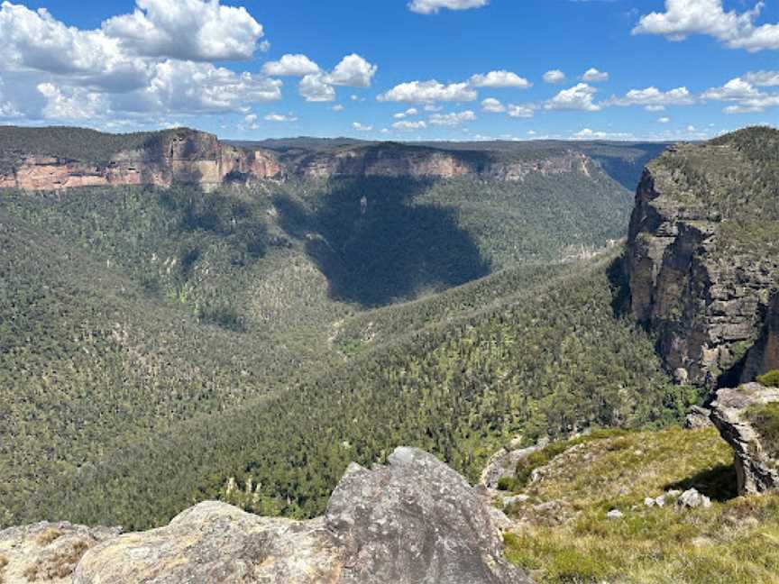 Pierces Pass to Blue Gum Forest Walking Track, Mount Tomah, NSW