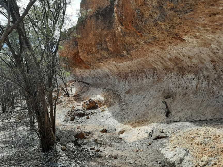 Idalia National Park, Blackall, QLD