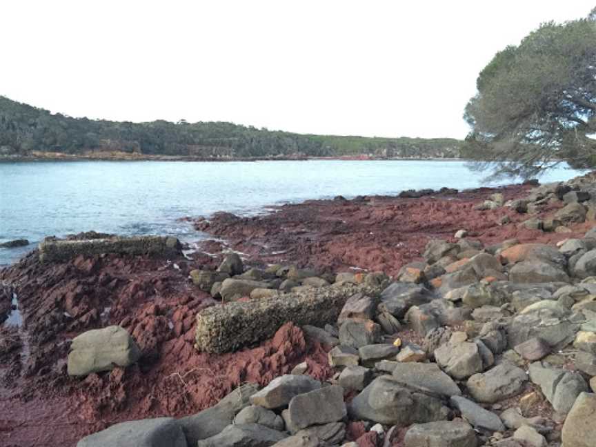 Bittangabee Bay, Green Cape, NSW