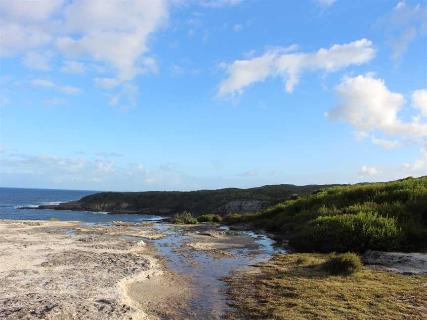 Booderee National Park: Telegraph Creek Nature Trail, Jervis Bay, NSW