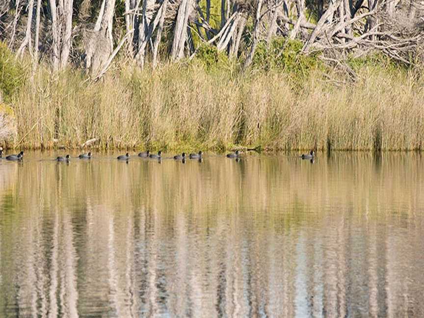 Bournda Lagoon, Bournda, NSW