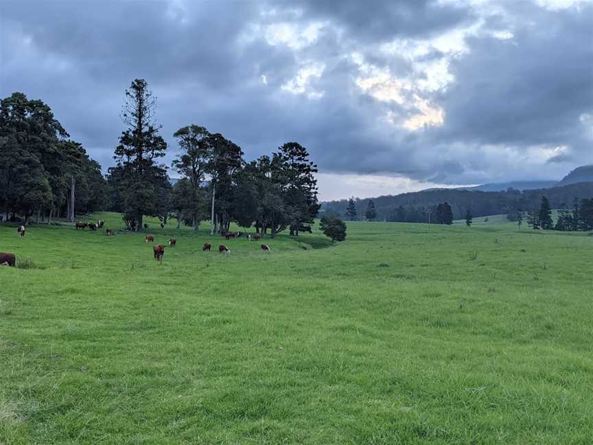 Koreelah National Park, Koreelah, NSW