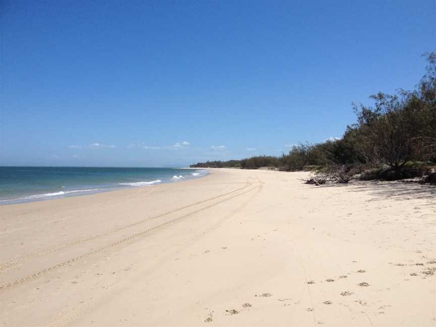 Bribie Island National Park and Recreation Area, Bribie Island, QLD