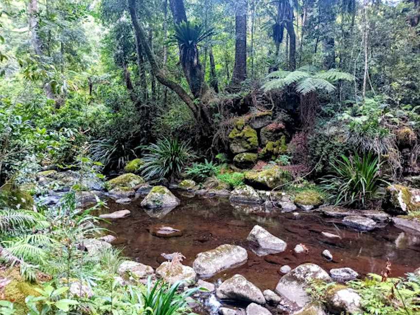 Brindle Creek Walking Track, Border Ranges, NSW