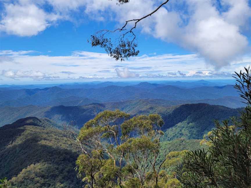 New England National Park, Brinerville, NSW