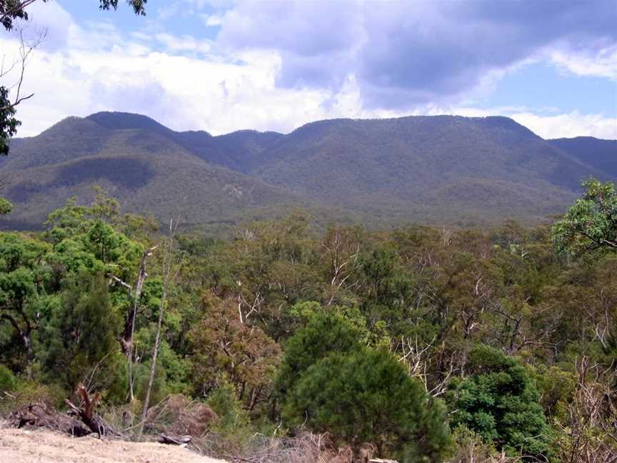 Wadbilliga National Park, Brogo, NSW