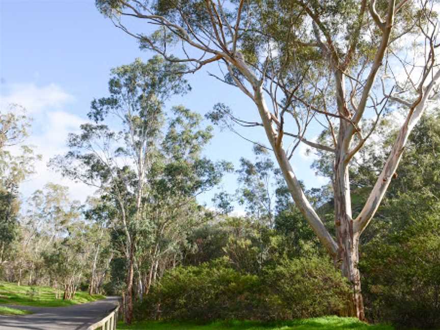 Brownhill Creek Recreation Park, Adelaide, SA