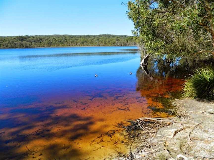 Brown Lake, North Stradbroke Island, QLD