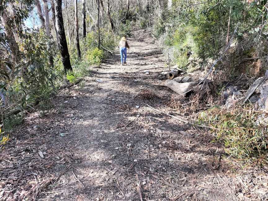 Rowleys Rock lookout, Bulga Forest, NSW